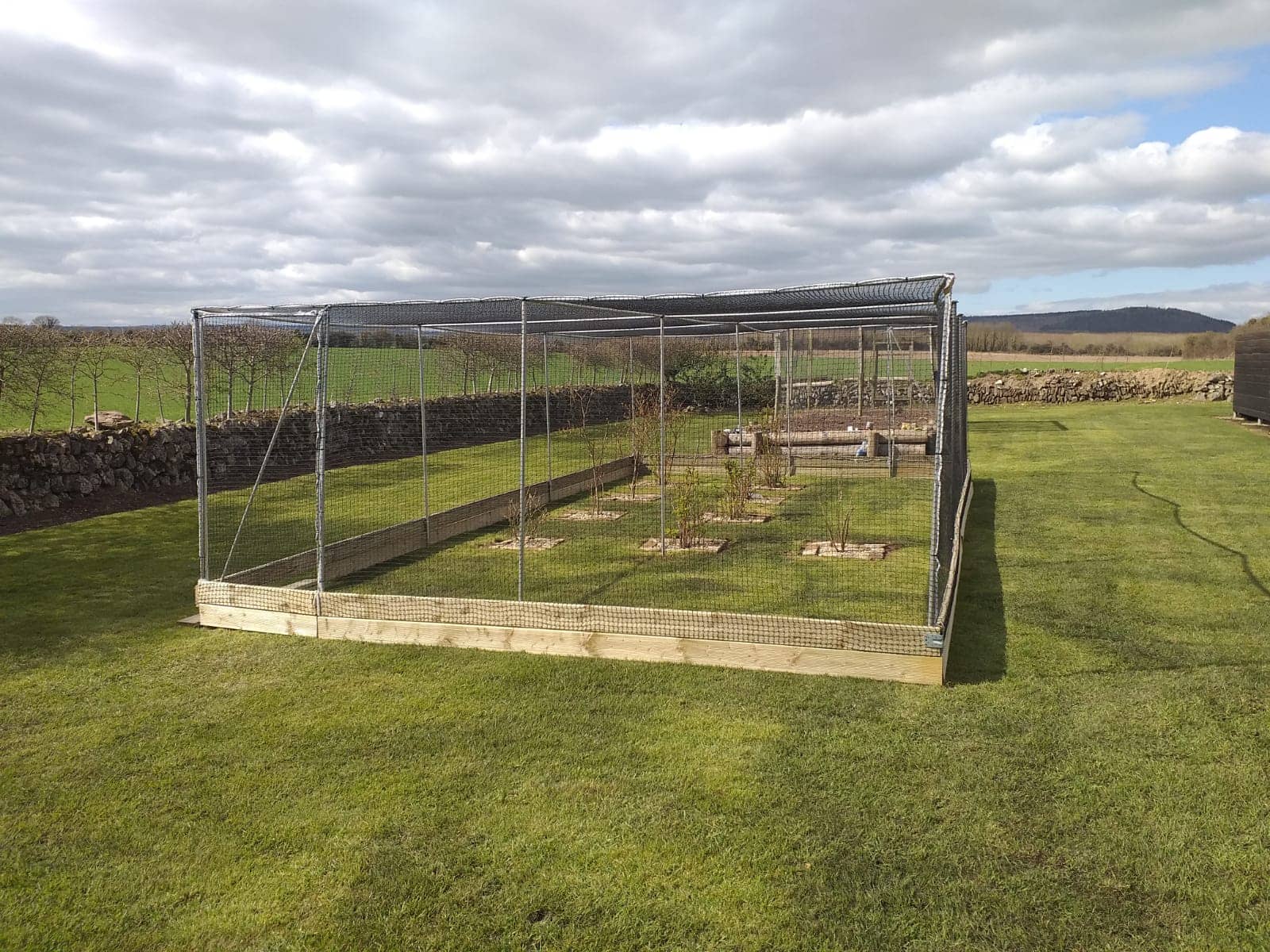 fruit cage surrounded by Bird Exclusion Netting