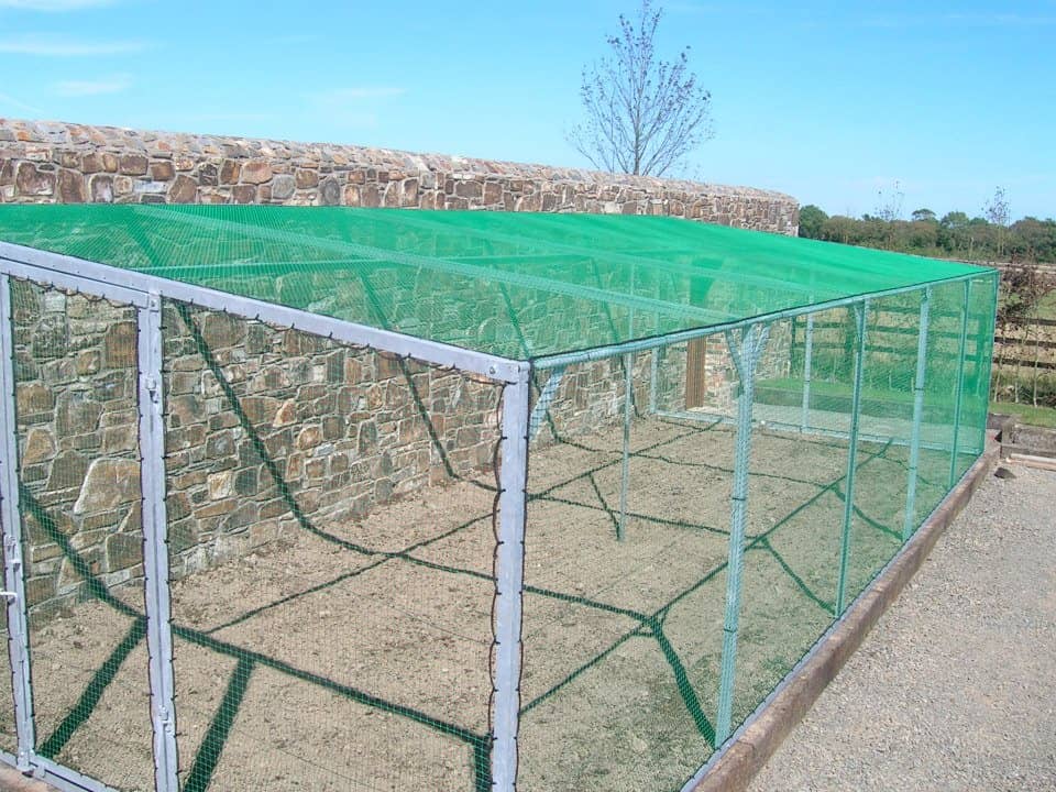Fruit Cage Net protecting produce from birds
