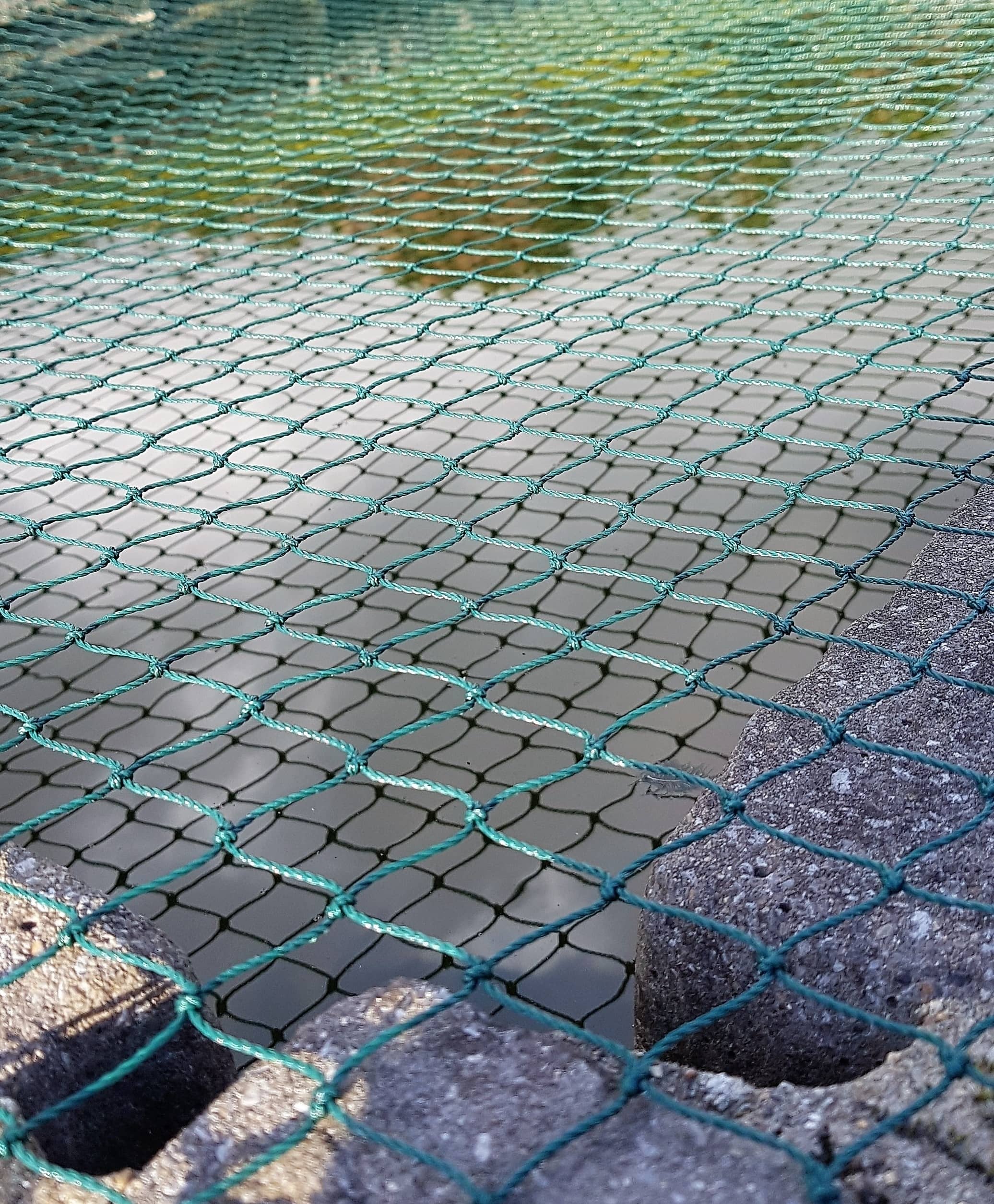 Pond Net protecting pond and fish