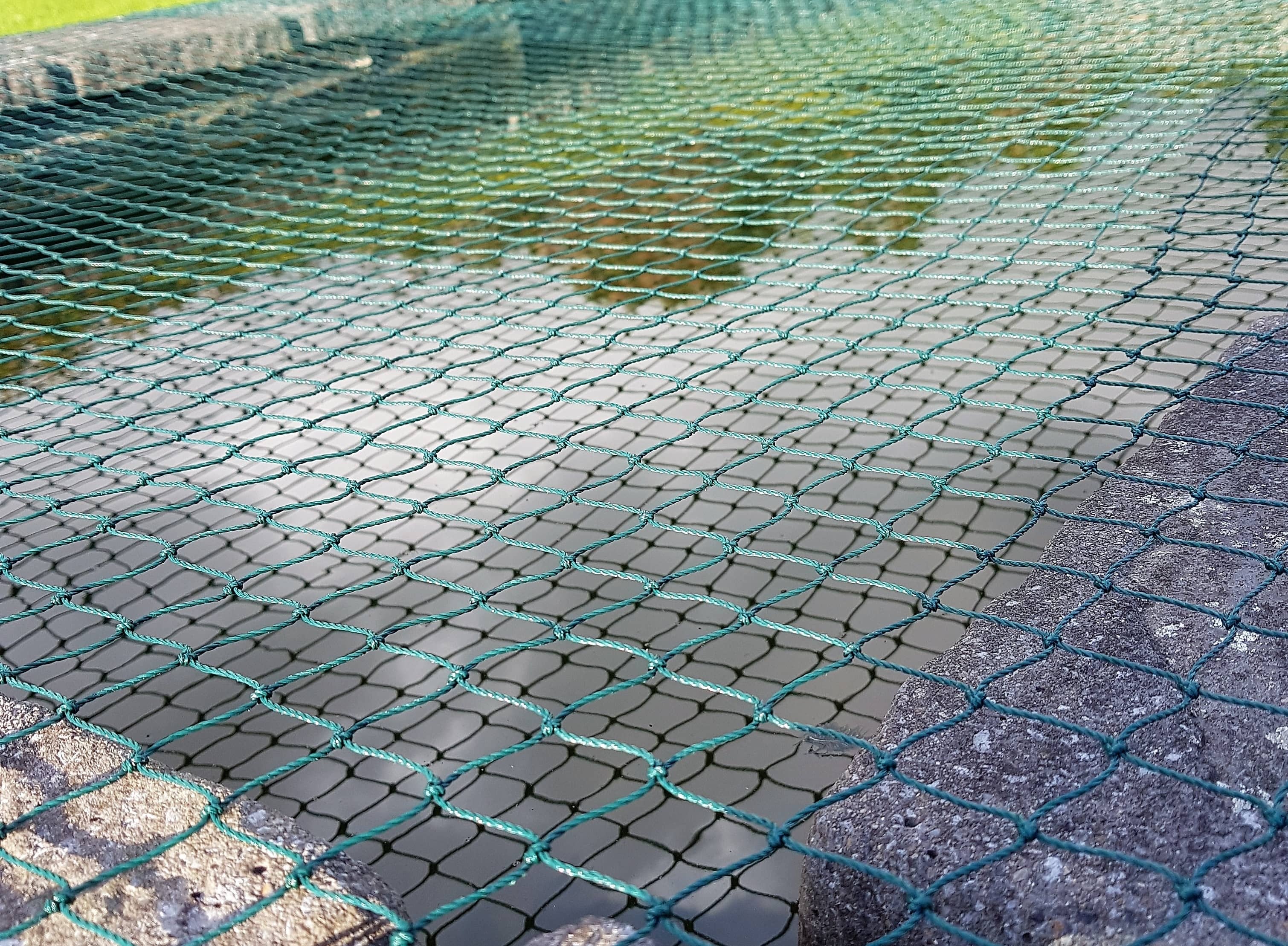 Pond covered in netting